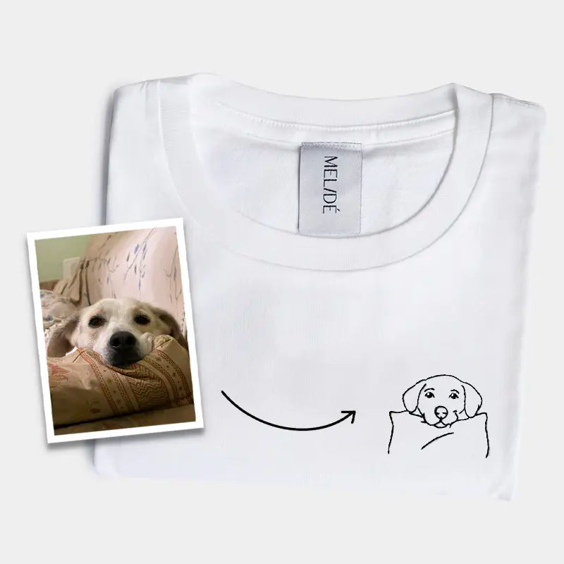 Cane sul cuscino