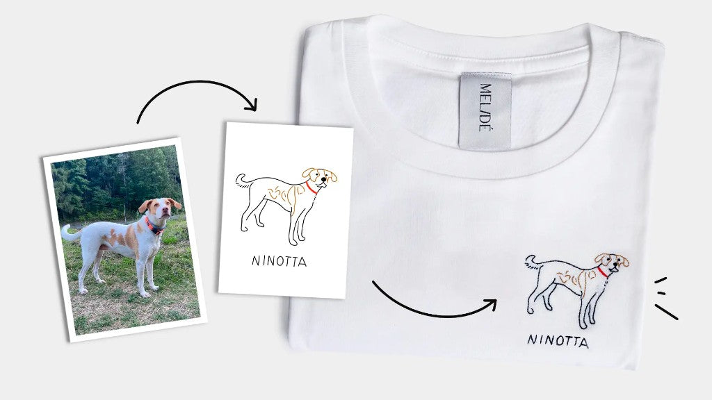 Ninotta