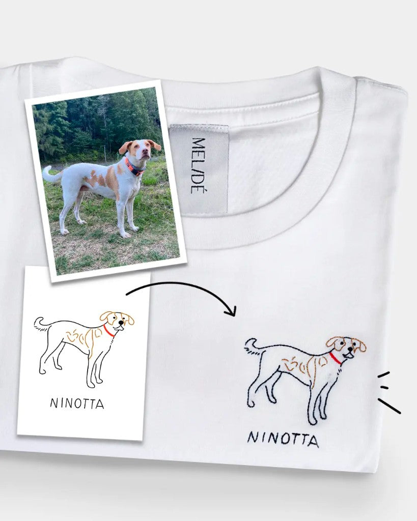 Ninotta
